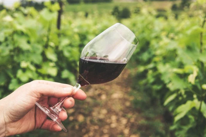 winetourusmafricanews8968657536t98796856.png