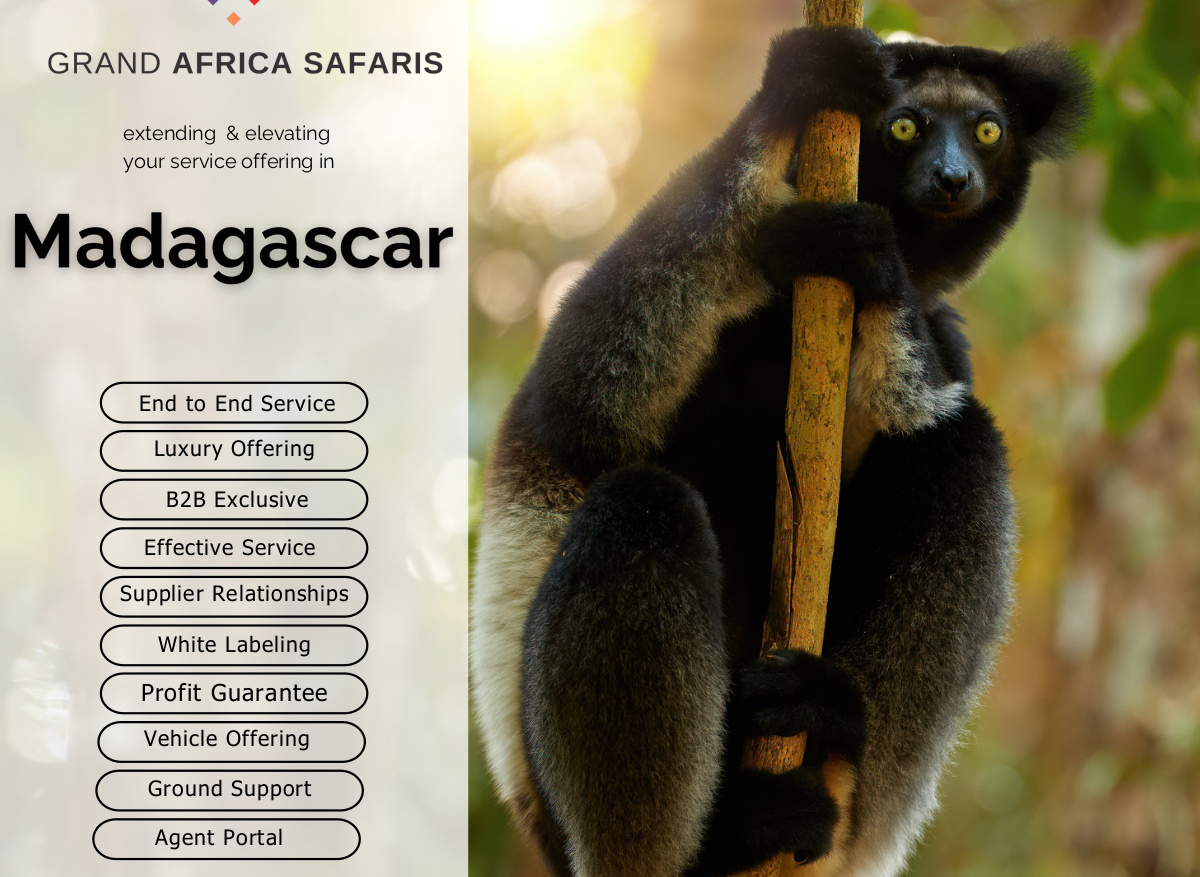 12E9A020-E4E5-4071-B3D1B6675C22BA35_7