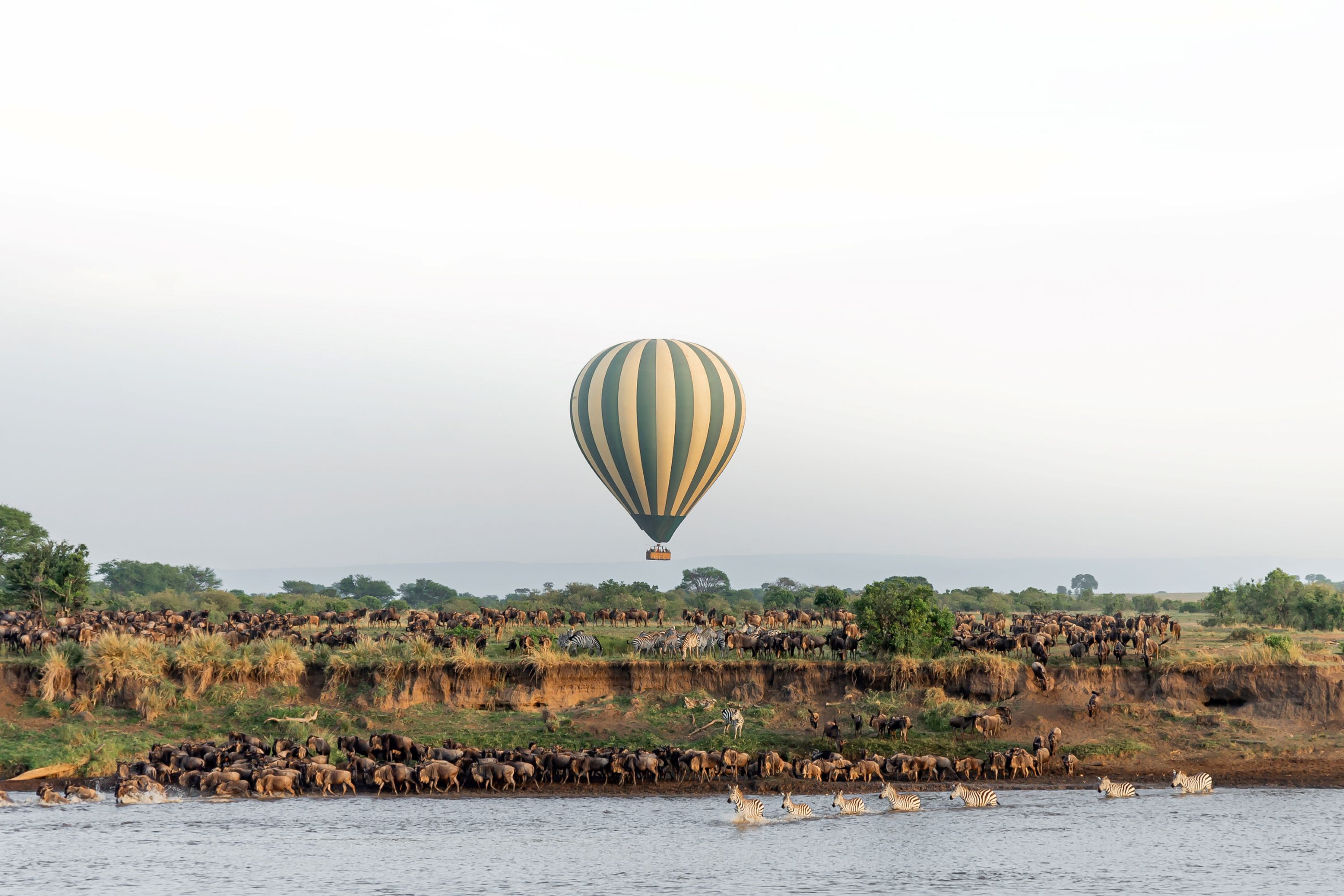 Edited+Halo+image+migration+Serengeti+Balloon+Safaris2.jpg