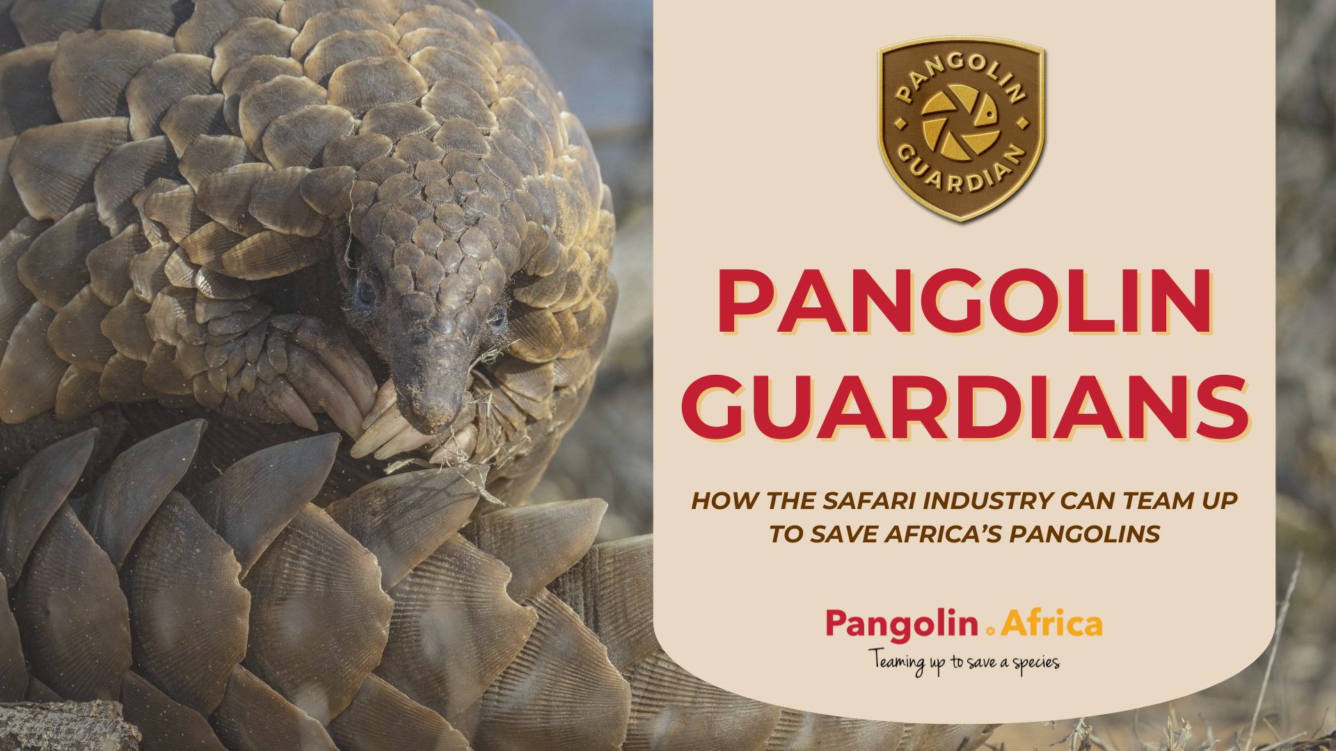 Pangolin.Africa_ATTA Webinar image.png