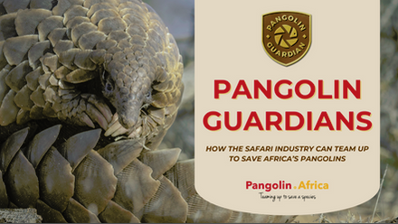 Pangolin.Africa_ATTA Webinar image.png