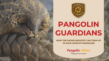 Pangolin.Africa_ATTA Webinar image.png