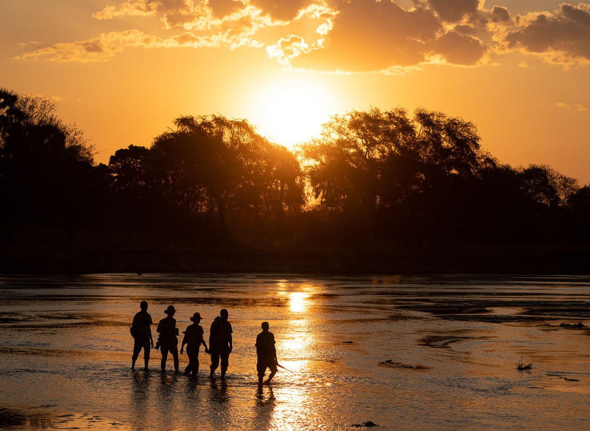 Mobile Walking Safaris - South Luangwa National Park, Zambia