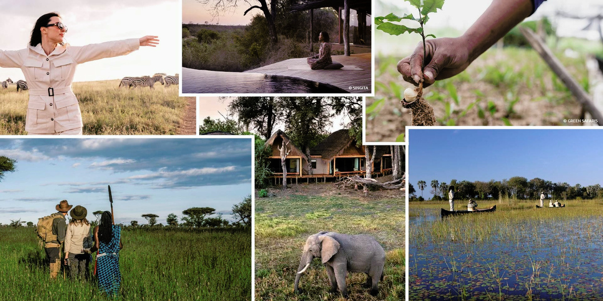ATTA_Rooted in Africa Report.jpg