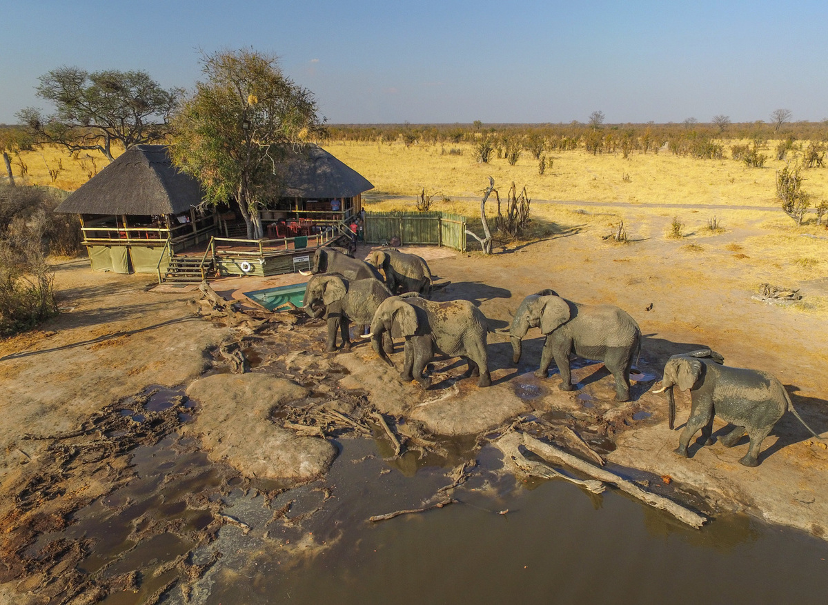 Nehimba Lodge - elephants at the main lodge