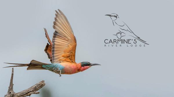 Carmine%27s+River+Lodge.jpg