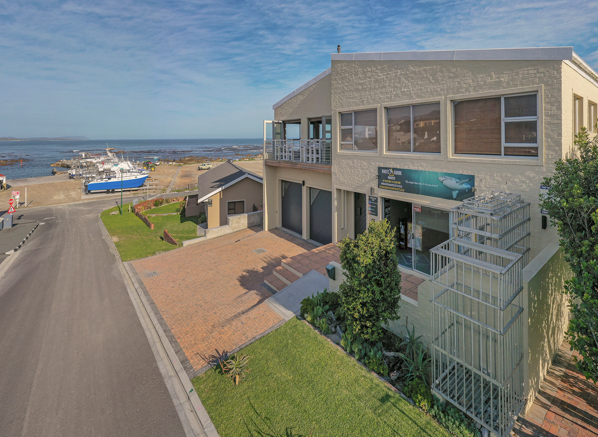 White Shark Projects Ocean View Head Quarters