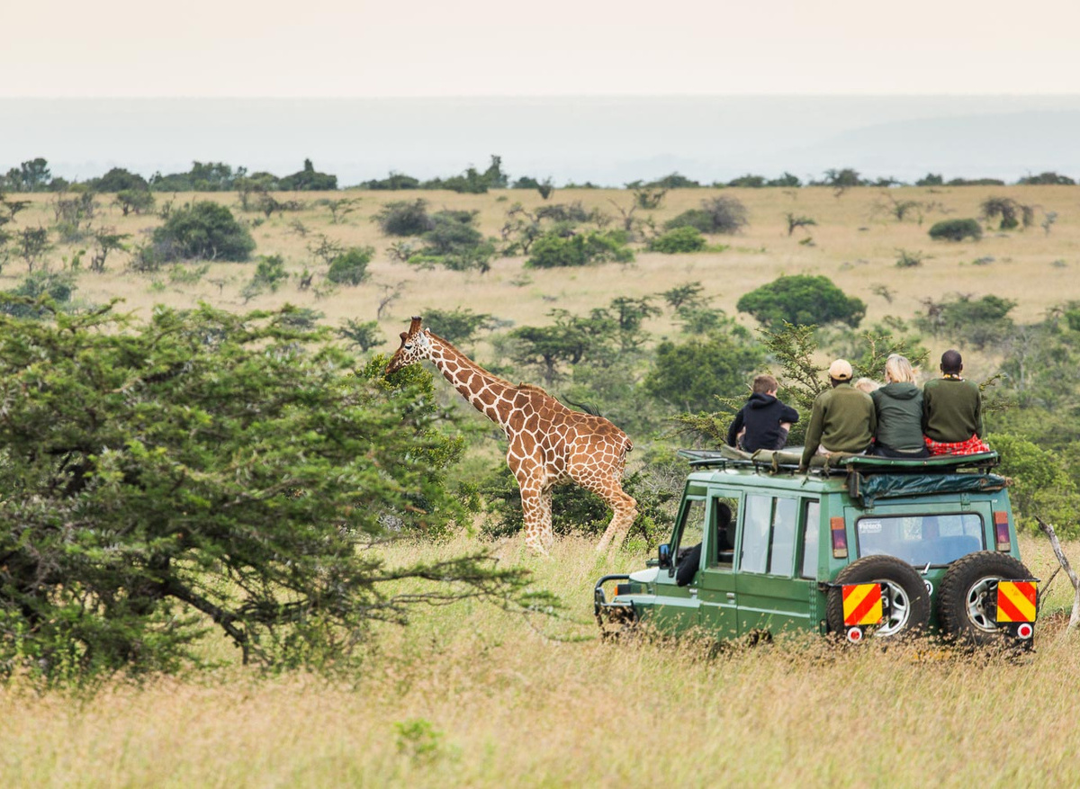 Game drive experience