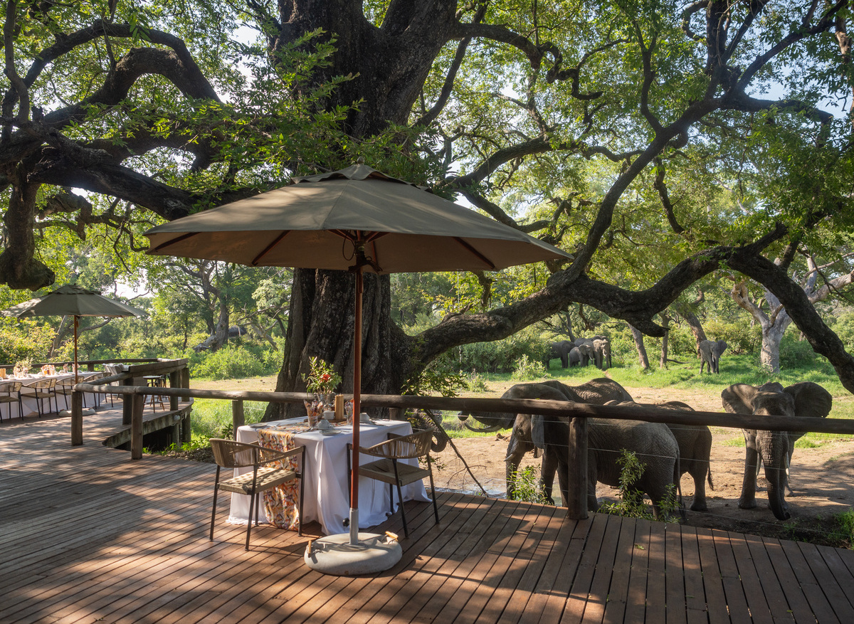 Tintswalo Safari Main Lodge Deck