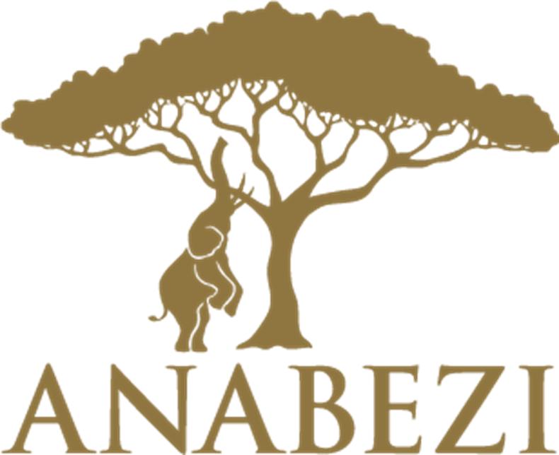 D644-anabezi-logo-small.png