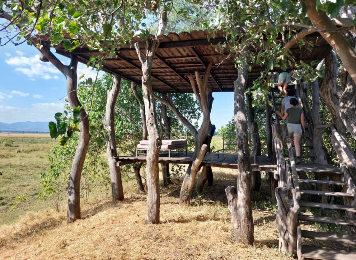 Johns Camp Star Deck.jpeg