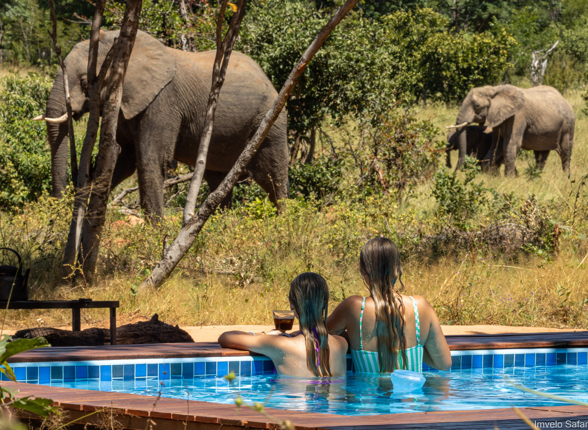 Tum Tum Treehouse Lodge