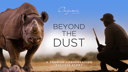 Onguma.-Beyond-the-Dust.jpg