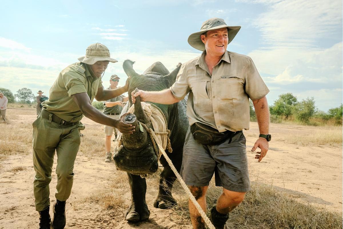 White rhino return.jpg