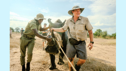 White rhino return.jpg
