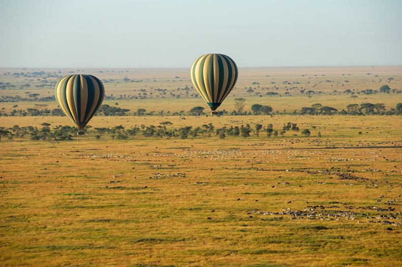 D6FF-balloon-central-serengeti.jpg