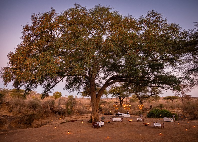 D703-matetsi-victoria-falls-bush-dinner.jpg