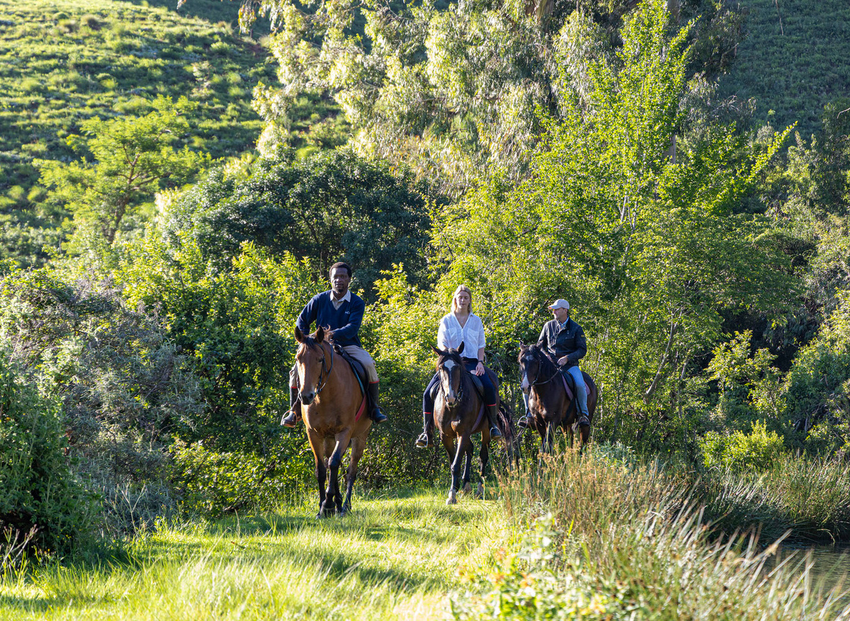 Carte Collection - Horse Riding 