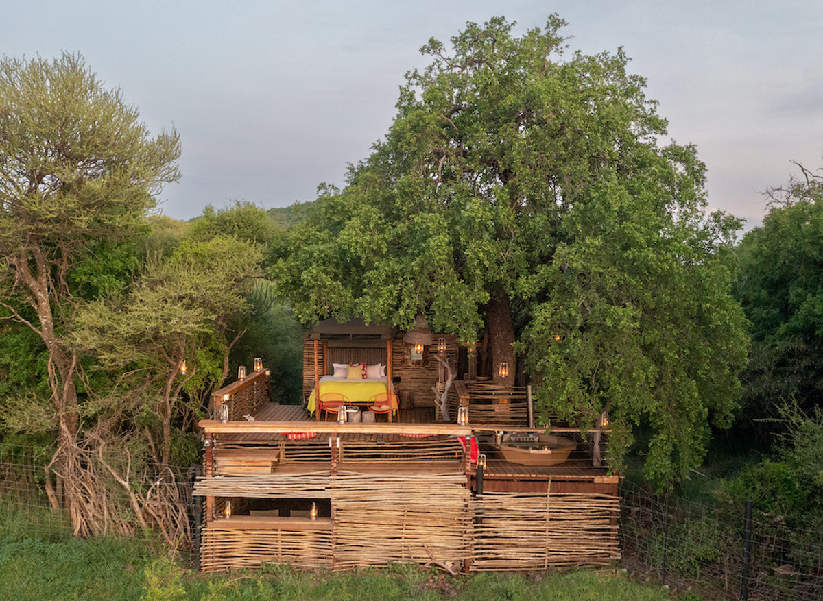 Naledi Treehouse.jpeg