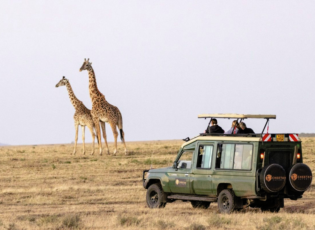 Cheetah Safaris guests in Masai Mara