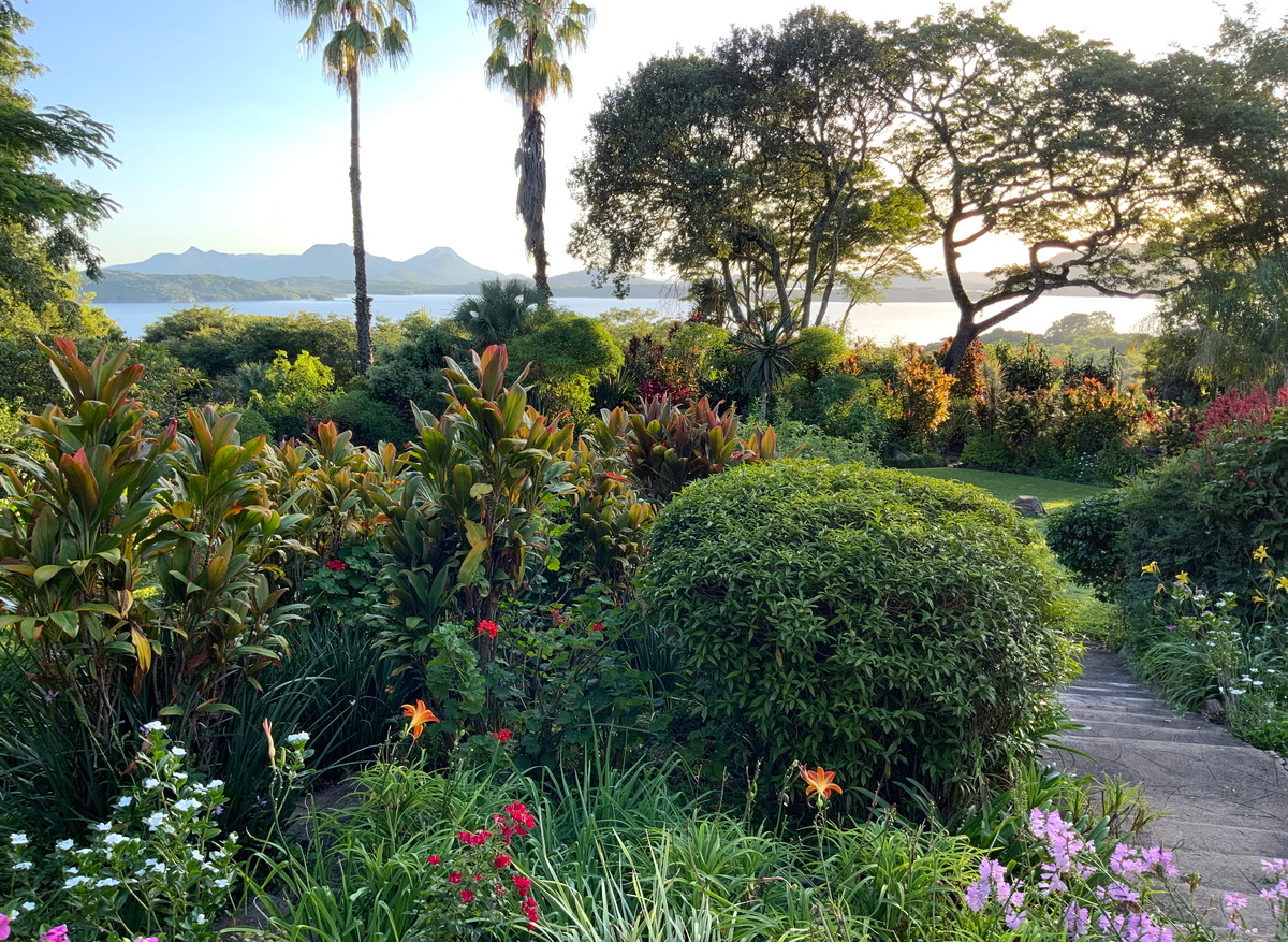 Mature English Garden