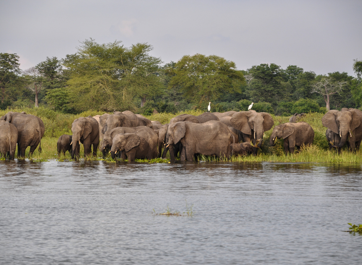 4470DF5F-C35C-462B-812EBA73C9B3D158_7