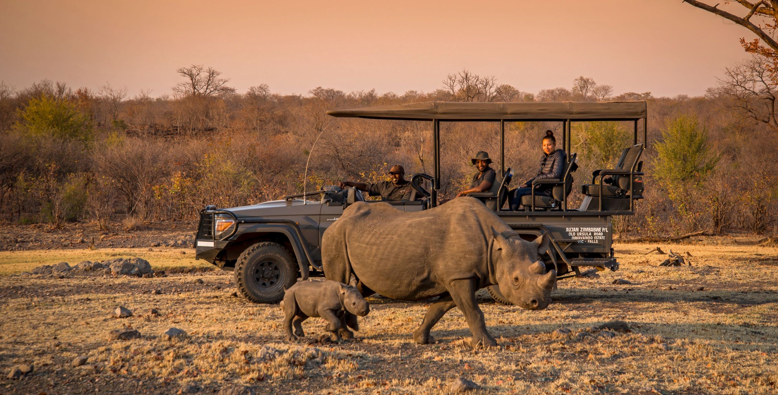 Anantara Stanley & Livingstone Victoria Falls Hotel_Safari_Black Rhino.jpg