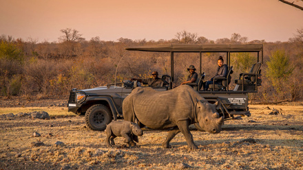Anantara Stanley & Livingstone Victoria Falls Hotel_Safari_Black Rhino.jpg
