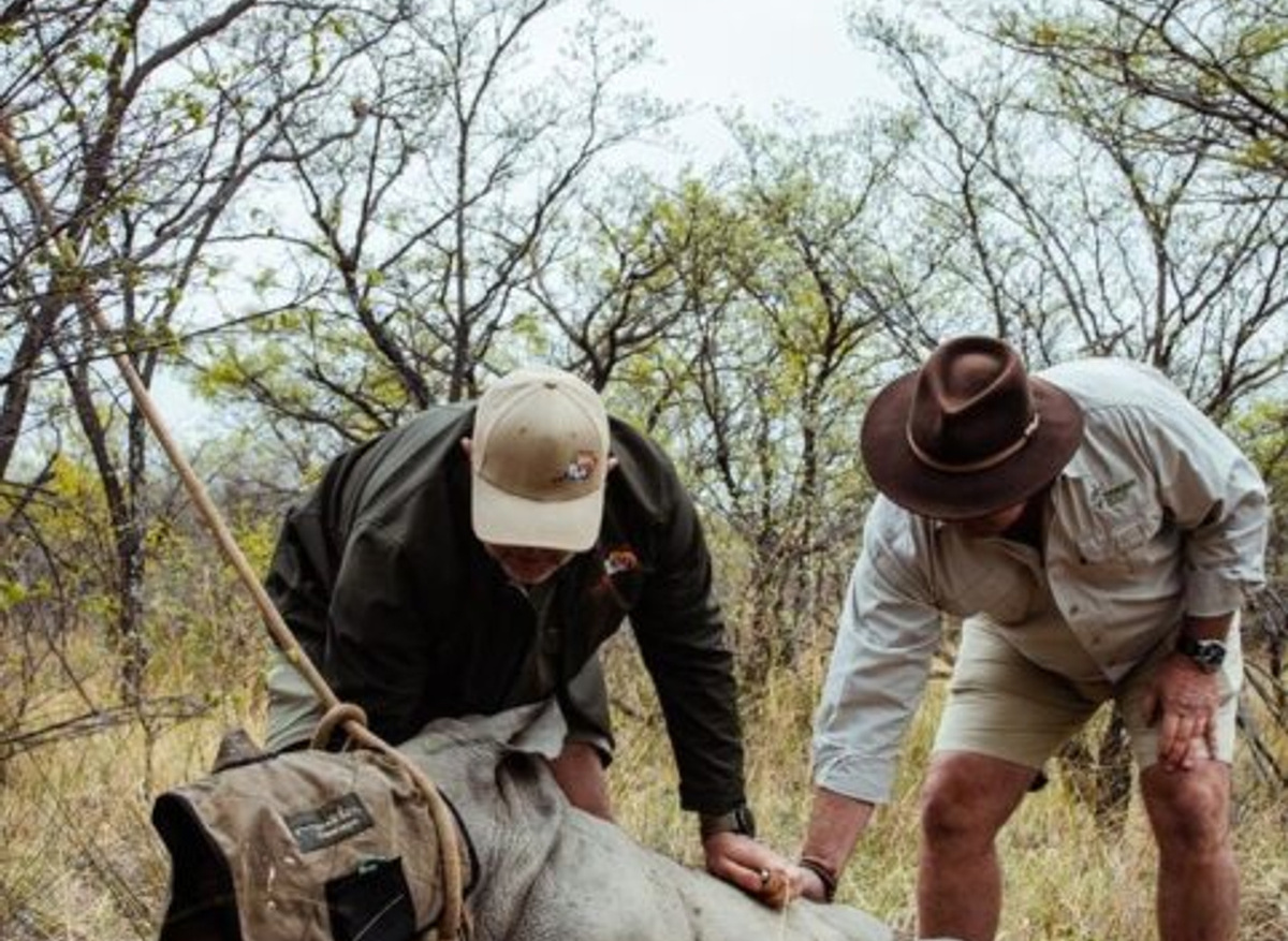 Rhino conservation.jpg