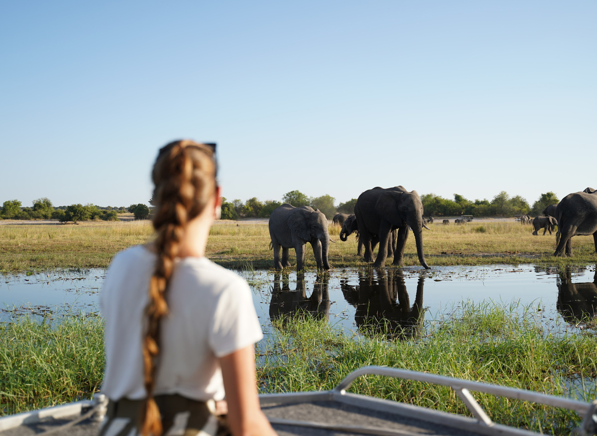 Zambezi Queen Collection | Excursions