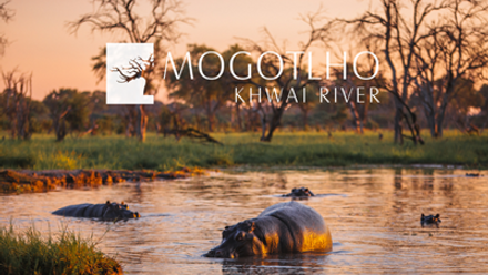 Mogotlho.png