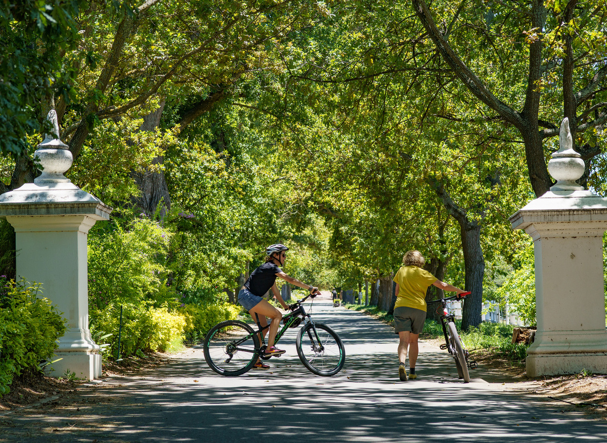 Bikes 'n Wines - Winelands Tours 2.jpg