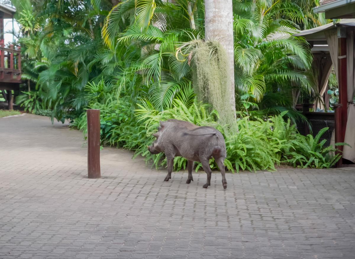 Urban Glamping 2 - HR-48.jpg