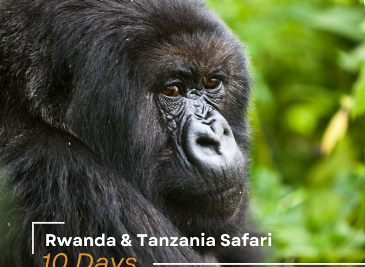 RWANDA TANZANIA COMBO.png