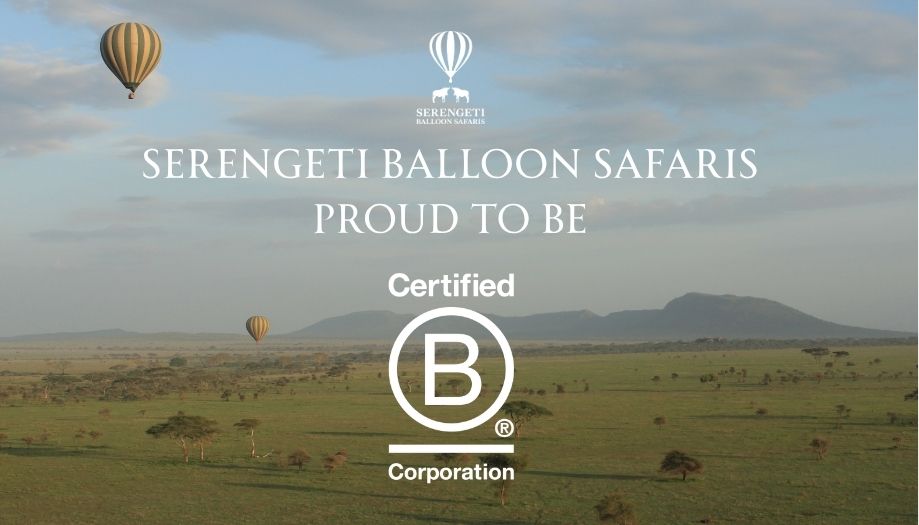 SBS+B+CORP+%281%29.jpg