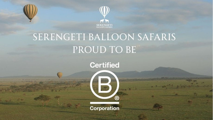 SBS+B+CORP+%281%29.jpg