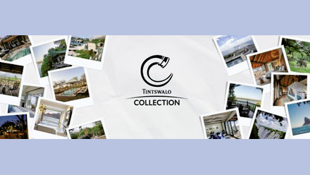 Tintswalo Collection Banner.jpg