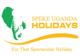 SUH_logo PNG2.png