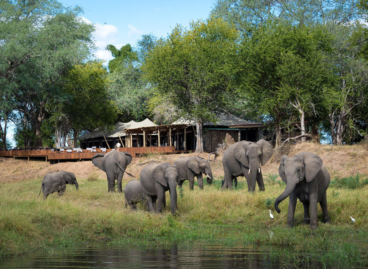 Ruckomechi Camp, Mana Pools NP
