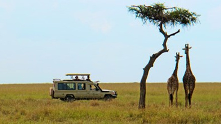 Safari with Kenya-Experience.jpg