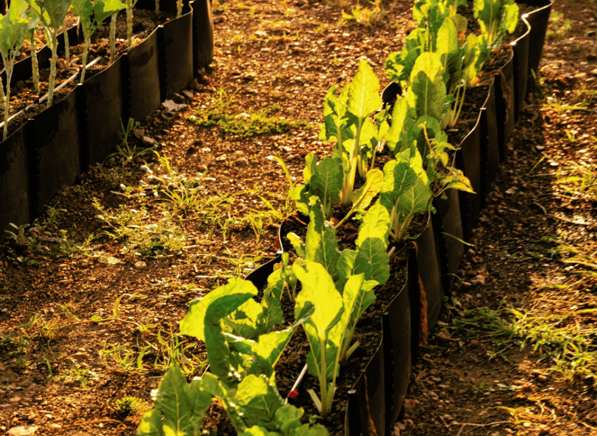 WhatsApp Image 2025-09-14 at 6.37.33 PM (2).jpeg