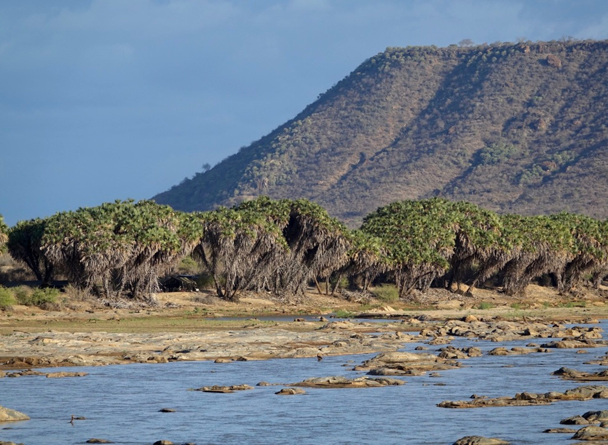 The Bush Camp , camp location , Tsavo east