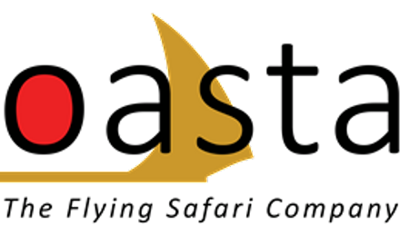 New CQ - The Flying Safari Company-Logo (BLACK).png
