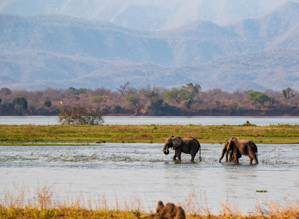 Mana Pools National Park