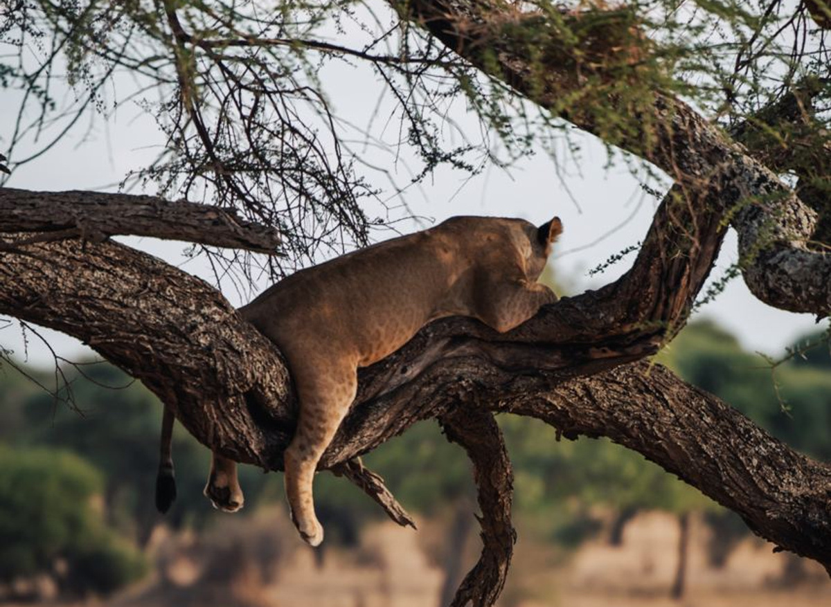 2023-12-02 18.05.02.jpg