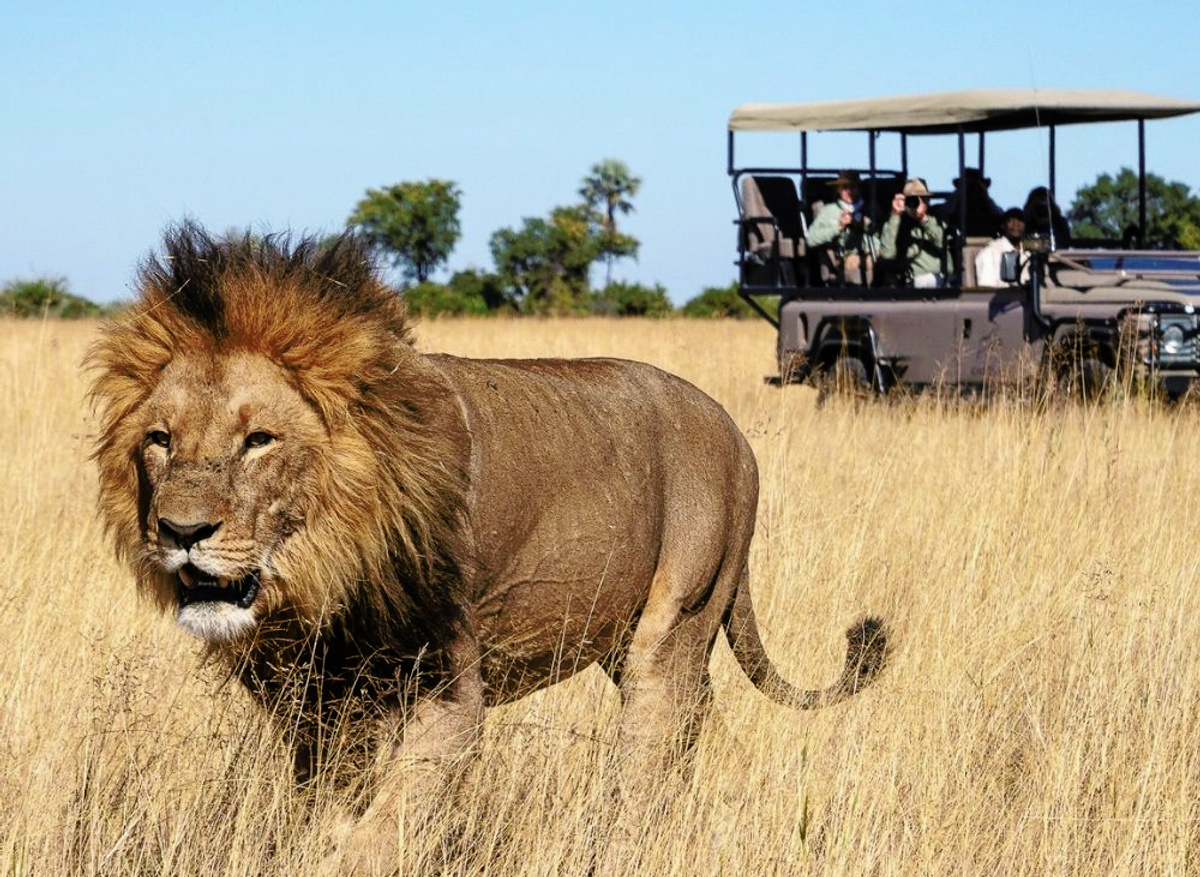 Kwetsani Camp Game Drive.jpg