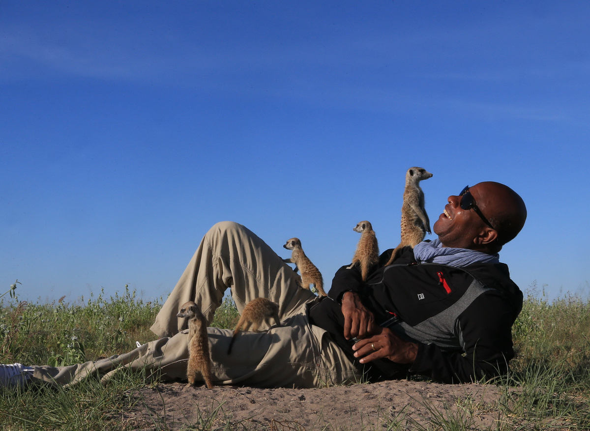 Meercats in the Makgadikgadi from Jacks and San 