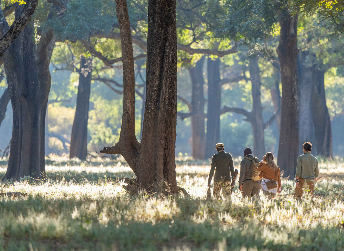 Time + Tide South Luangwa - Walking Activity