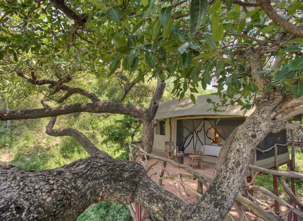 Sarara Treehouses Room View.jpg