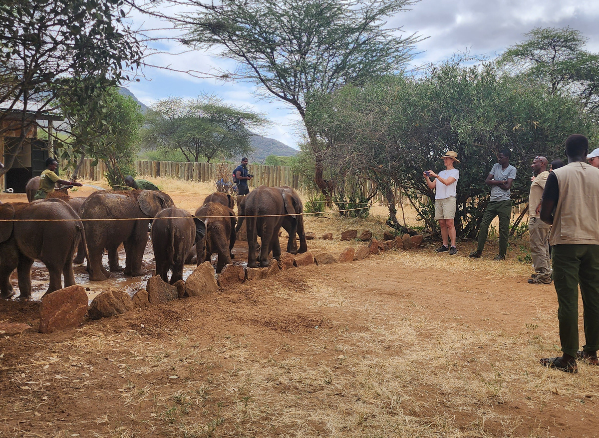 Conservation Safaris